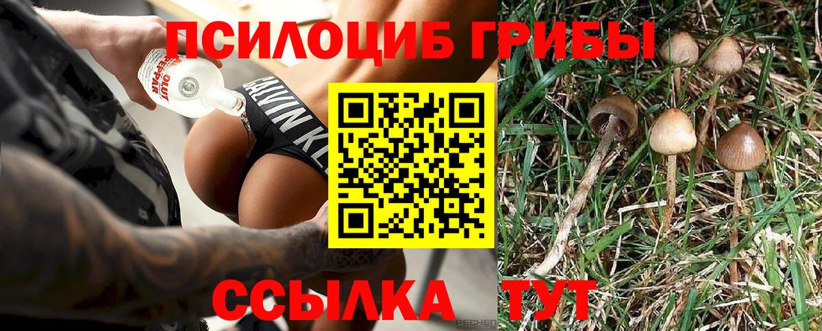 Псилоцибиновые грибы Psilocybine cubensis Кропоткин