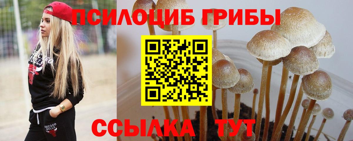 Галлюциногенные грибы MAGIC MUSHROOMS  даркнет сайт  Кропоткин  Вход с VPN 